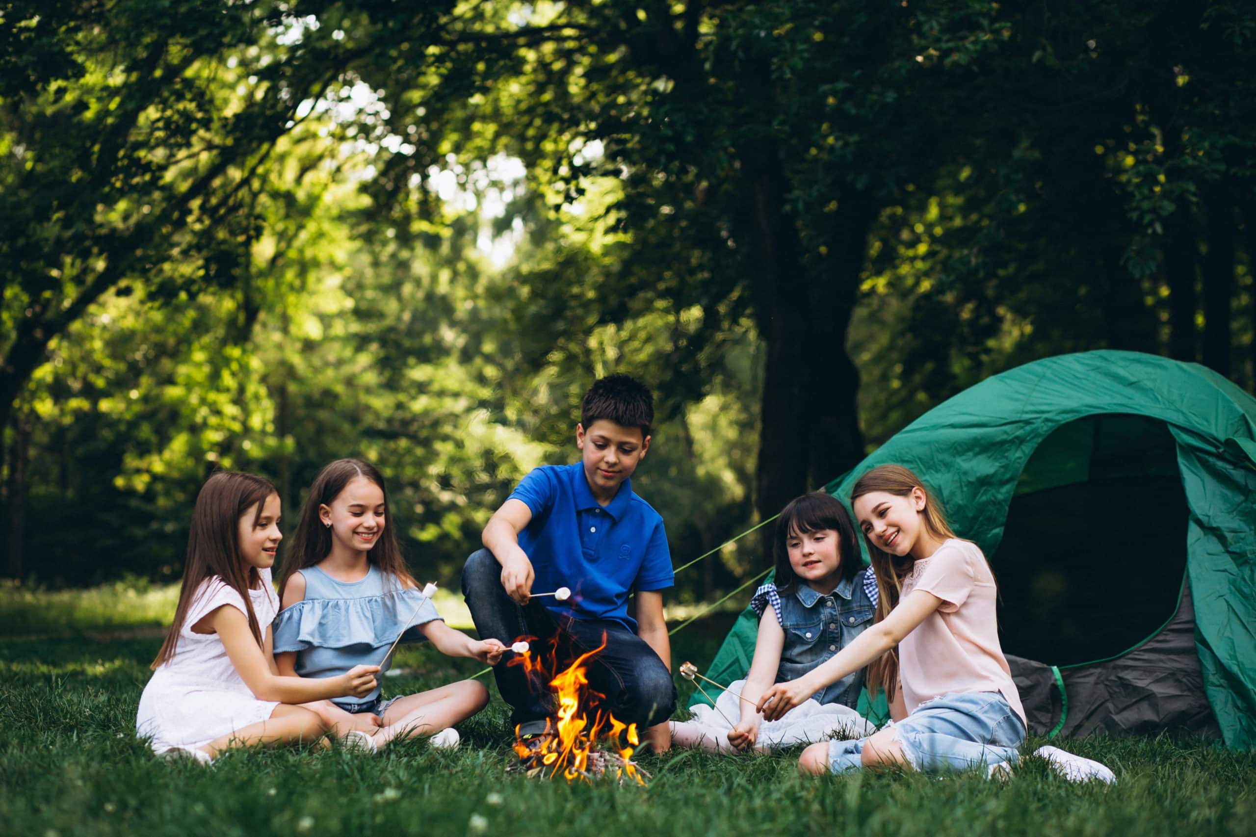 group kids forest by bonfire with mushmellows