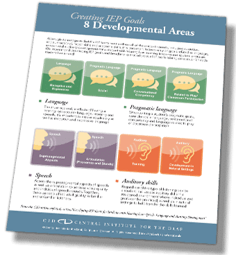 preview CID IEP 8 developmental areas